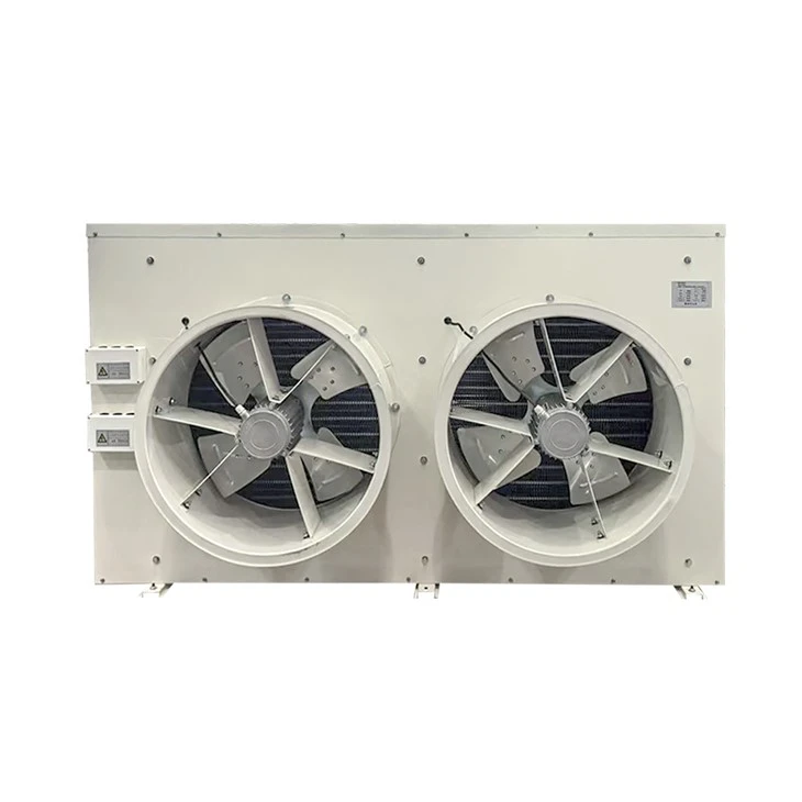 Compact 3126m³/h 1.7KW 2 Fans DJ10 Air Cooler For Small Freezer factory